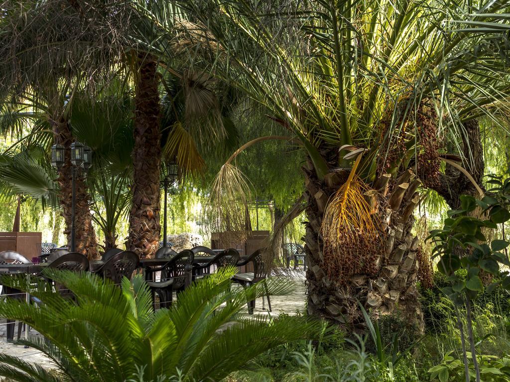 Jardines De Casablanca Hotel การาวากา เดลา กรูซ ภายนอก รูปภาพ
