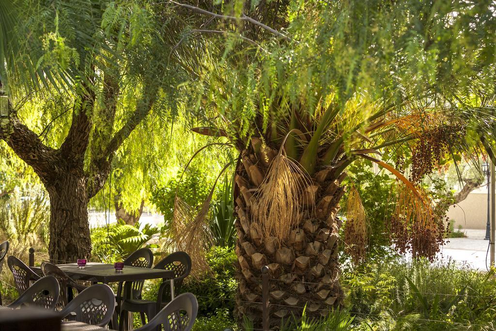 Jardines De Casablanca Hotel การาวากา เดลา กรูซ ภายนอก รูปภาพ