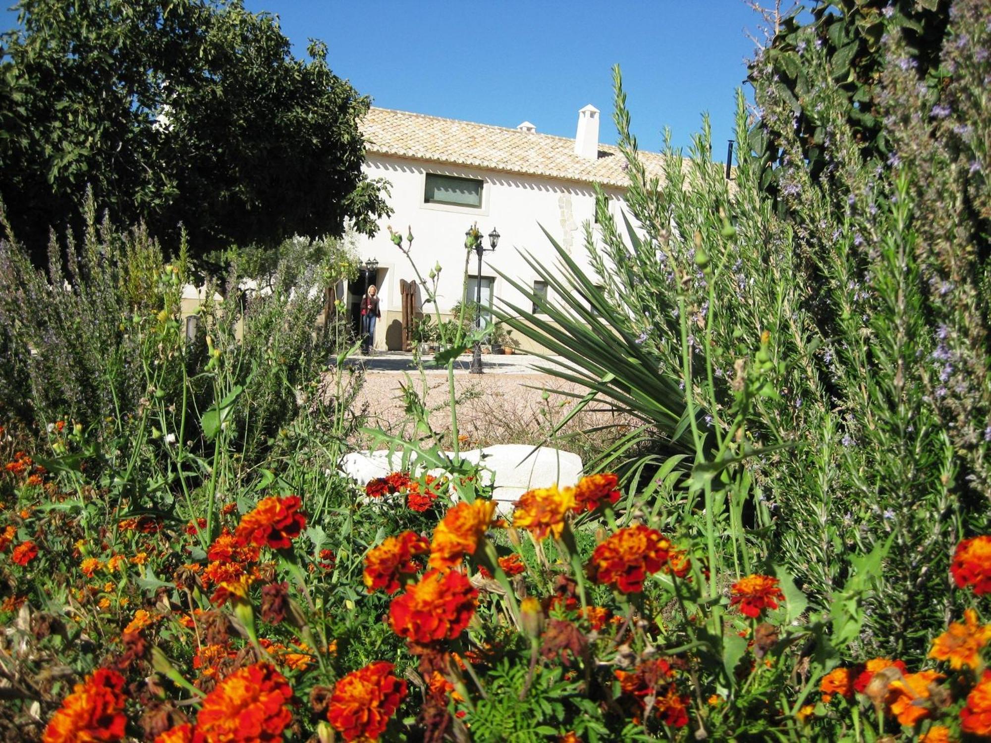 Jardines De Casablanca Hotel การาวากา เดลา กรูซ ภายนอก รูปภาพ