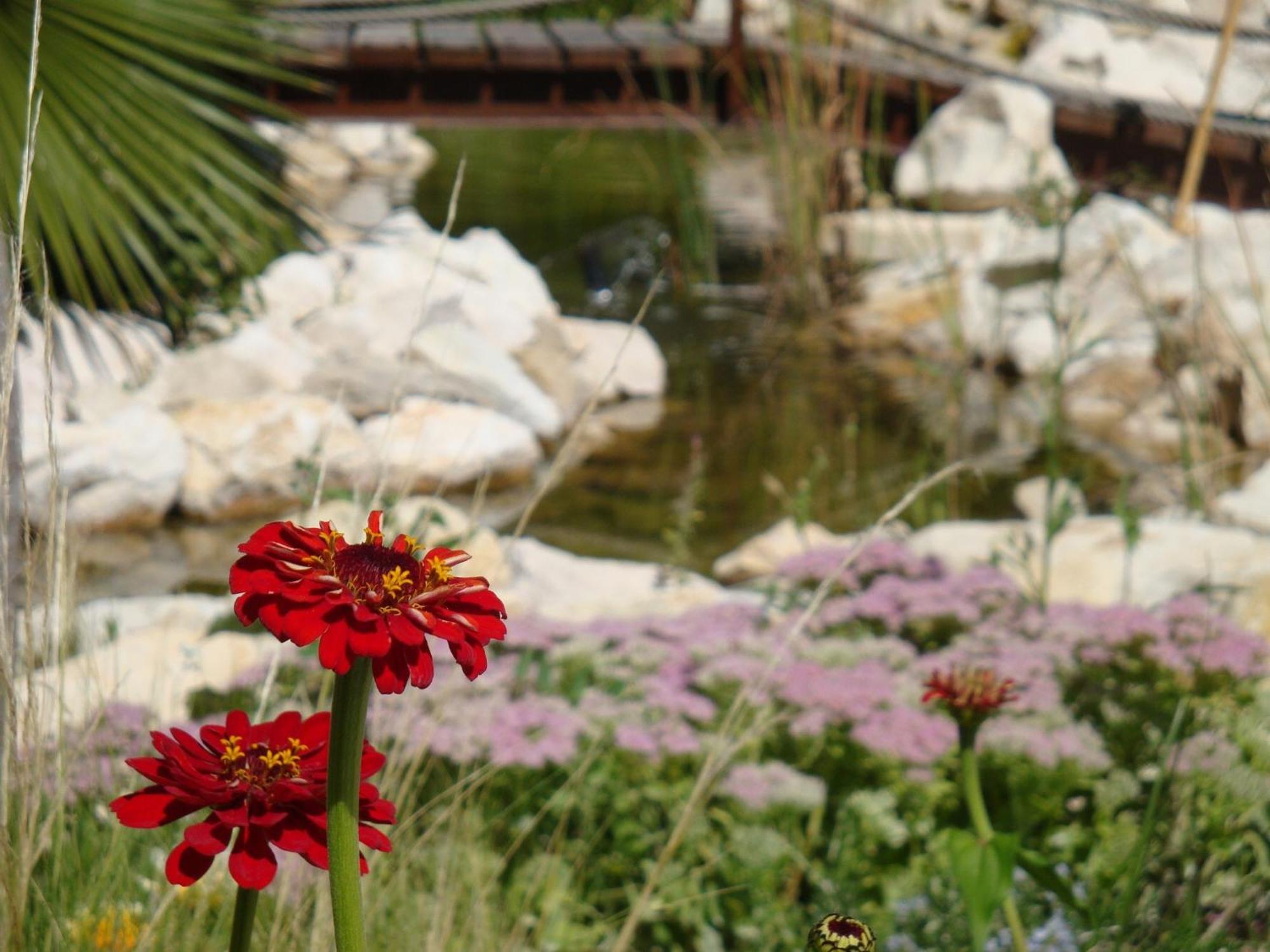 Jardines De Casablanca Hotel การาวากา เดลา กรูซ ภายนอก รูปภาพ