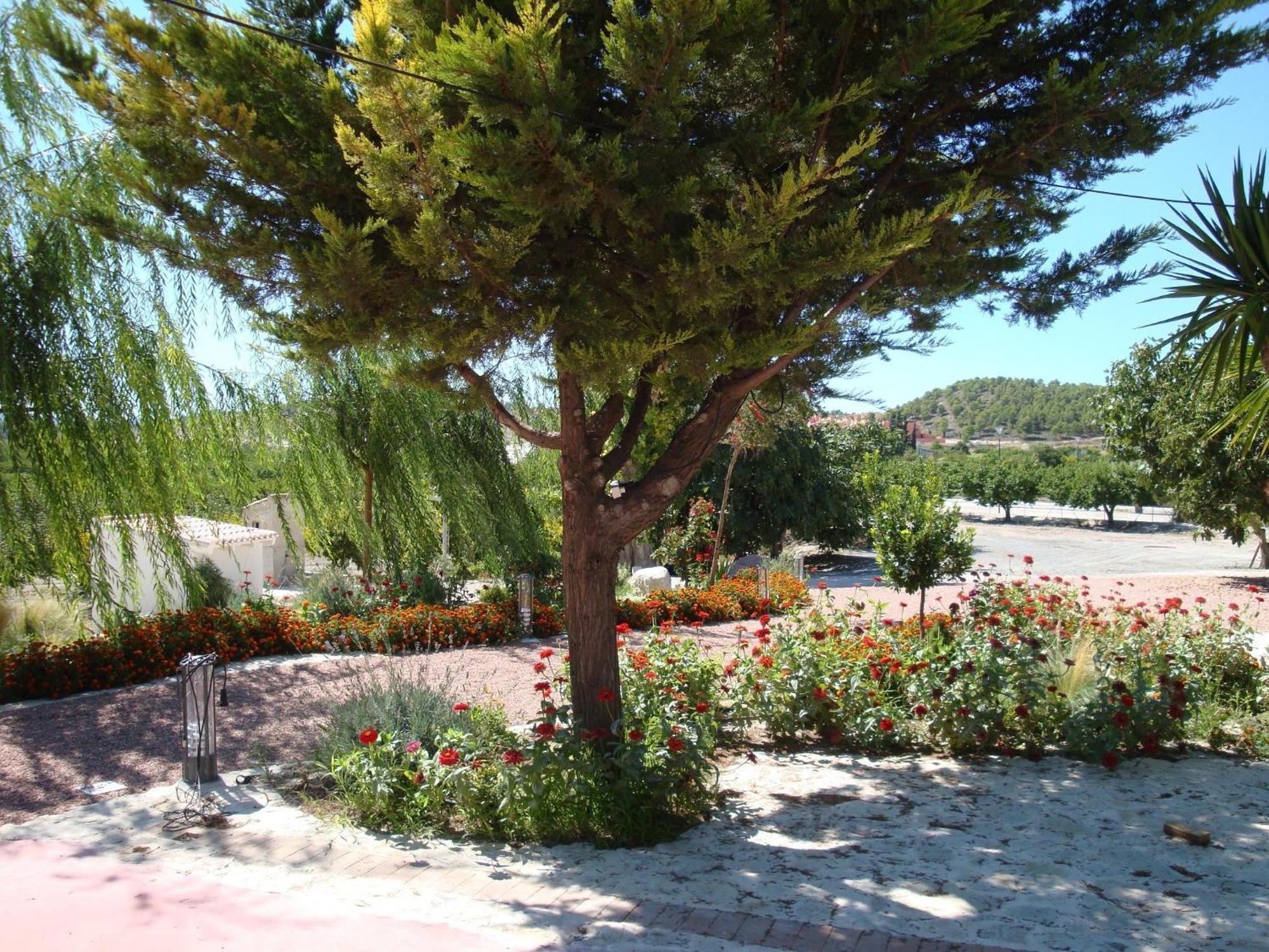 Jardines De Casablanca Hotel การาวากา เดลา กรูซ ภายนอก รูปภาพ