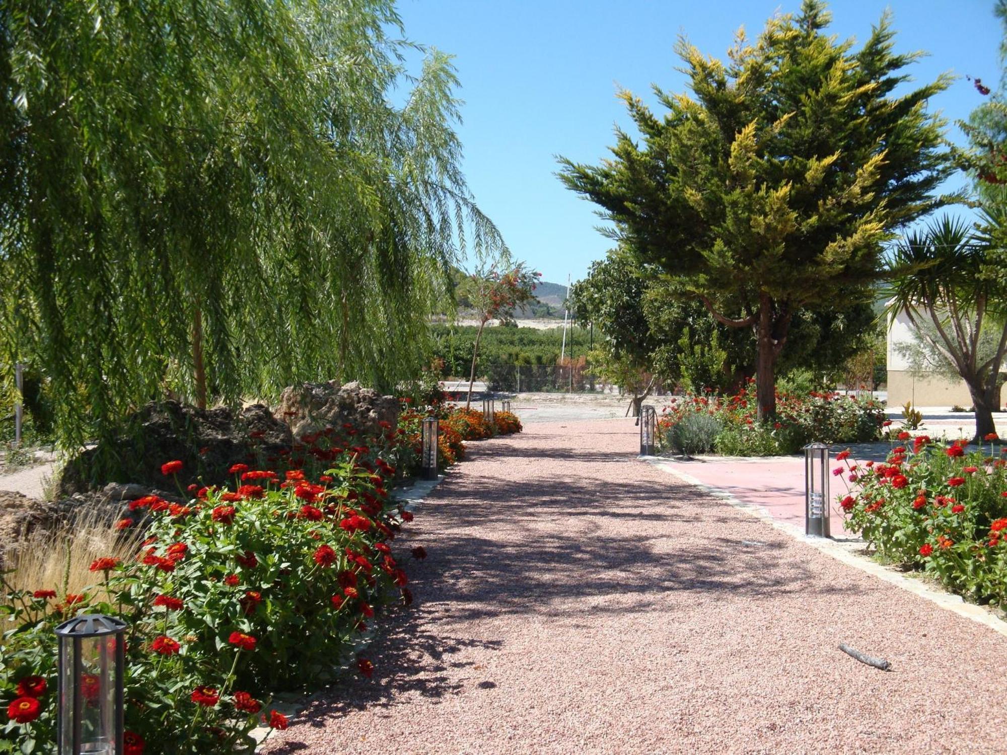 Jardines De Casablanca Hotel การาวากา เดลา กรูซ ภายนอก รูปภาพ