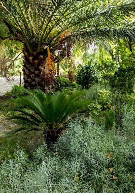 Jardines De Casablanca Hotel การาวากา เดลา กรูซ ภายนอก รูปภาพ